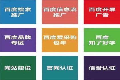 SEM推广实战：成功案例剖析
